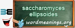 WordMeaning blackboard for saccharomyces ellipsoides